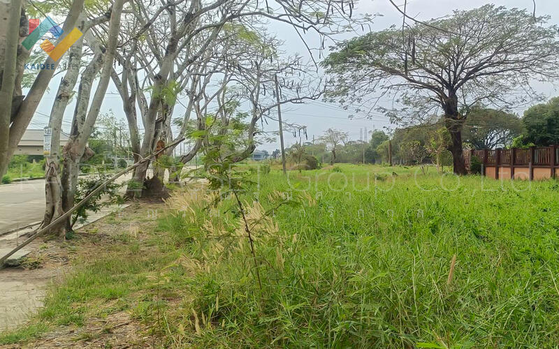 Windsor Park and Golf Club, Bangkok, สุวินทวงศ์, Khok Faed, Nong Chok, Bangkok, , 872 sqm, Land For Sale, by Kannisa Thanwatthanakrirkul, 500147395 - DDproperty.com