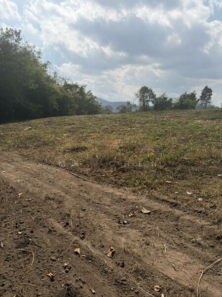 ขาย - ที่ดินแปลงใหญ่ ติดถนนหลวง 118 เชียงใหม่ เชียงราย (แม่ขะจาน) 32 ไร่ 1 งาน 92 ตร.วา, เชียงราย