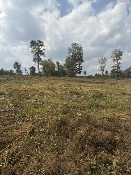 ขาย - ที่ดินแปลงใหญ่ ติดถนนหลวง 118 เชียงใหม่ เชียงราย (แม่ขะจาน) 32 ไร่ 1 งาน 92 ตร.วา, เชียงราย