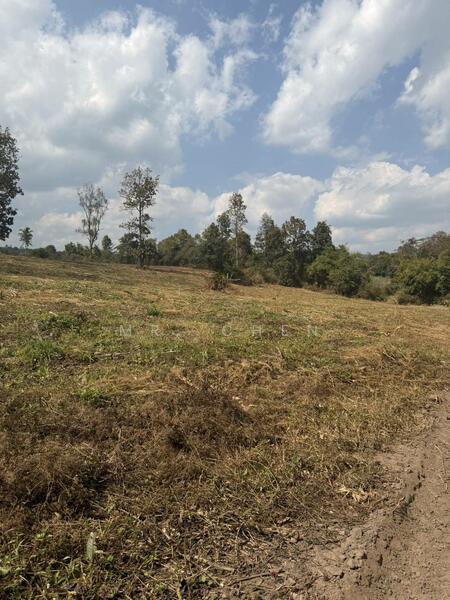 ขาย - ที่ดินแปลงใหญ่ ติดถนนหลวง 118 เชียงใหม่ เชียงราย (แม่ขะจาน) 32 ไร่ 1 งาน 92 ตร.วา, เชียงราย