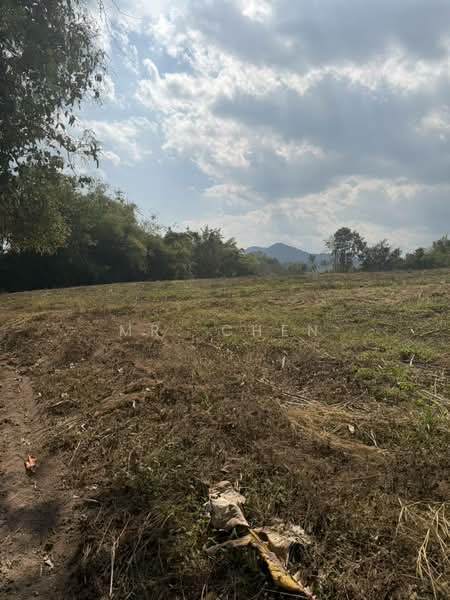 ขาย - ที่ดินแปลงใหญ่ ติดถนนหลวง 118 เชียงใหม่ เชียงราย (แม่ขะจาน) 32 ไร่ 1 งาน 92 ตร.วา, เชียงราย