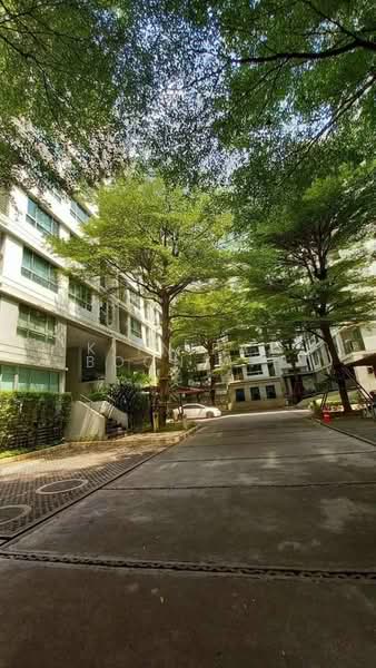 The Room Sukhumvit 79 : เดอะ รูม สุขุมวิท 79, กรุงเทพ, 99 ถนนสุขุมวิท 79, พระโขนงเหนือ, วัฒนา, กรุงเทพ, 59 ตร.ม., คอนโด ให้เช่า, โดย Kitnipat Boonyadhammakul, 500147464 - DDproperty.com