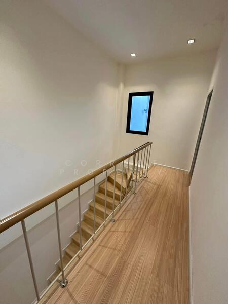 Y Residence Sukhumvit 113, Samut Prakan, Sukhumvit 113 Road (Soi Dan Samrong 42/1), Samrong Nua, Muang Samut Prakarn, Samut Prakan, 4 Bedrooms, 220 sqm, Townhouse For Rent, by Correct Property, 500147575 - DDproperty.com