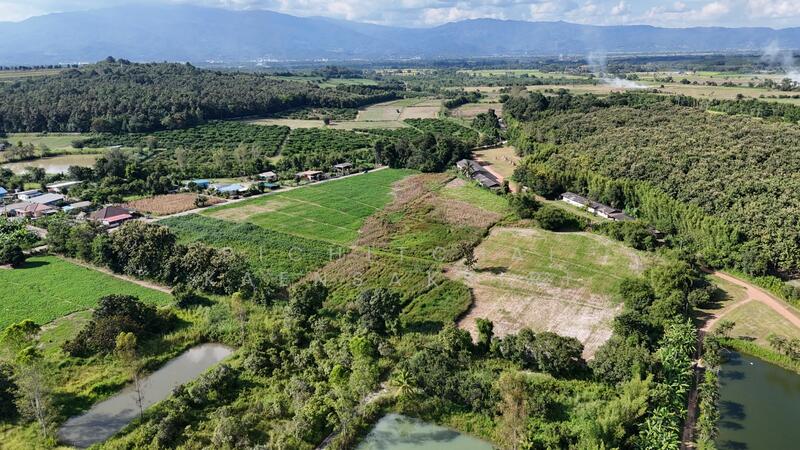 ขาย - บ้านหลวง แม่อาย เชียงใหม่, เชียงใหม่