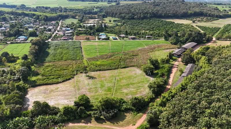 ขาย - บ้านหลวง แม่อาย เชียงใหม่, เชียงใหม่