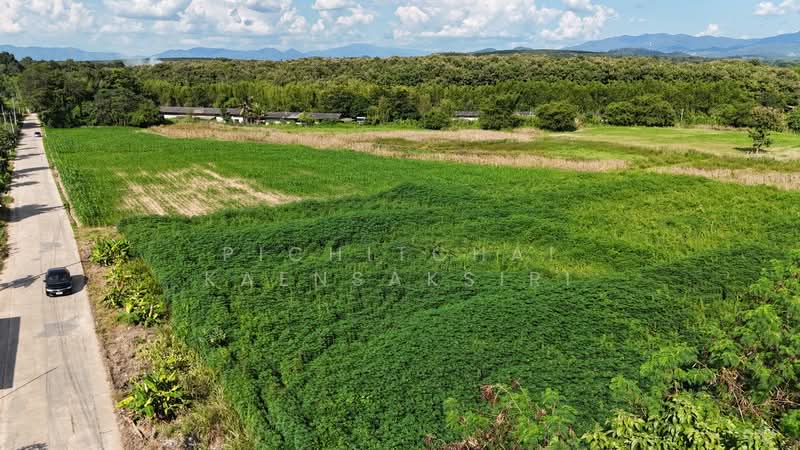 บ้านหลวง แม่อาย เชียงใหม่, Chiang Mai, Ban Luang, Mae Ai, Chiang Mai, , 38,080 sqm, Land For Sale, by Pichitchai Kaensaksiri, 500147642 - DDproperty.com