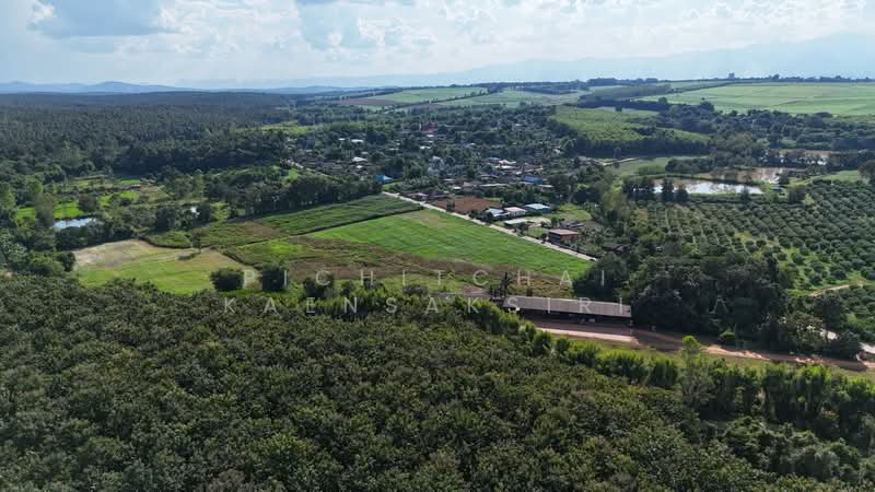 ขาย - บ้านหลวง แม่อาย เชียงใหม่, เชียงใหม่