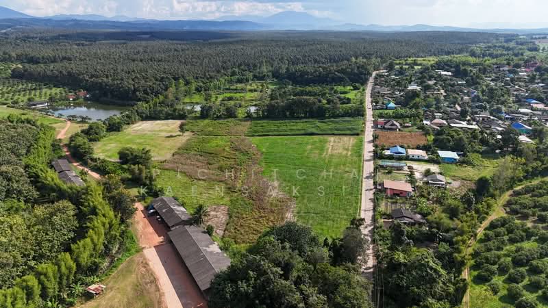 ขาย - บ้านหลวง แม่อาย เชียงใหม่, เชียงใหม่