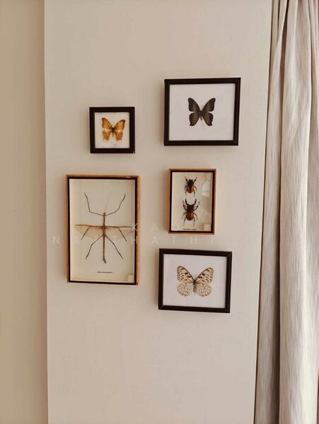 Socio Reference 61, Bangkok, Sukhumvit 61, Khlongtoei Nua, Watthana, Bangkok, 2 Bedrooms, 68 sqm, Condo For Sale, by Kao Natthathida Paksee, 500147686 - DDproperty.com