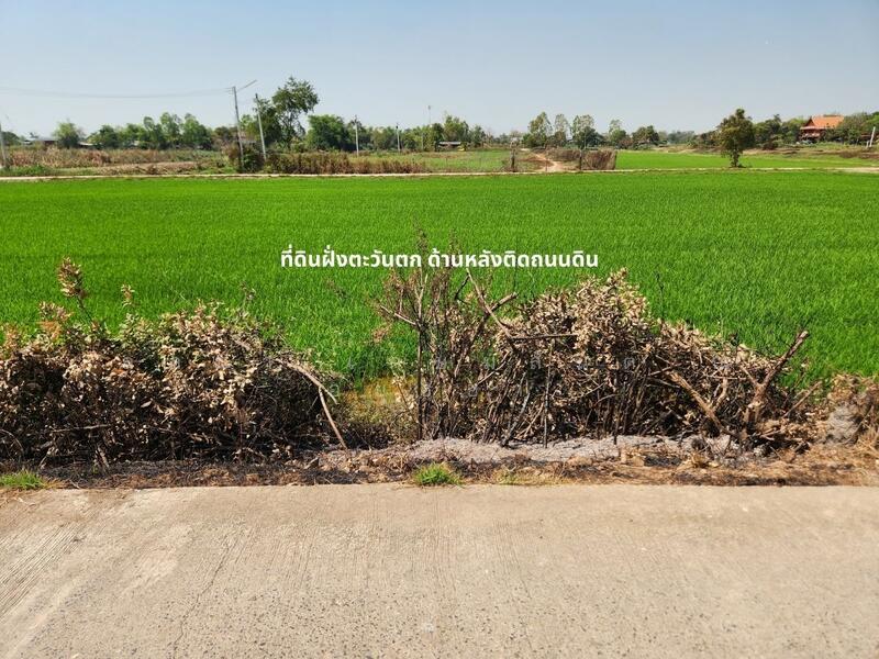 For Sale - ขาย ที่ดิน 9-3-04 ไร่ ติดถนนคอนกรีต ใกล้ อบต.กระแชง อ.บางไทร, Phra Nakhon Si Ayutthaya