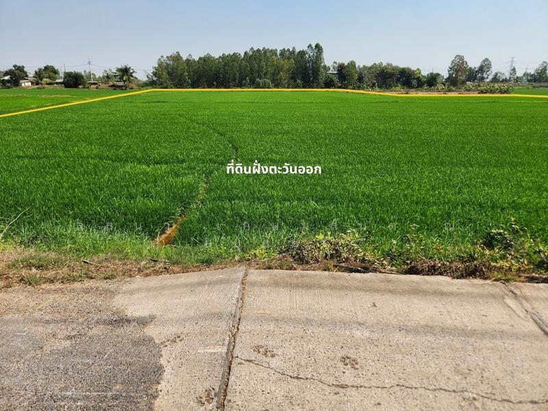 For Sale - ขาย ที่ดิน 9-3-04 ไร่ ติดถนนคอนกรีต ใกล้ อบต.กระแชง อ.บางไทร, Phra Nakhon Si Ayutthaya