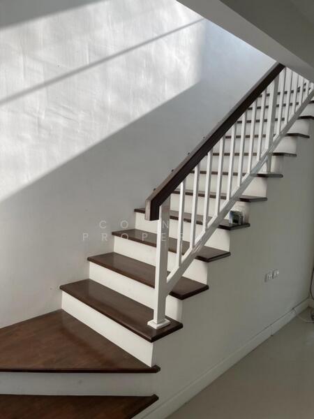 Townplus Prachauthit, Bangkok, Prachauthit Road, Thung Khru, Thung Khru, Bangkok, 3 Bedrooms, 160 sqm, Townhouse For Rent, by Connex Property, 500147723 - DDproperty.com