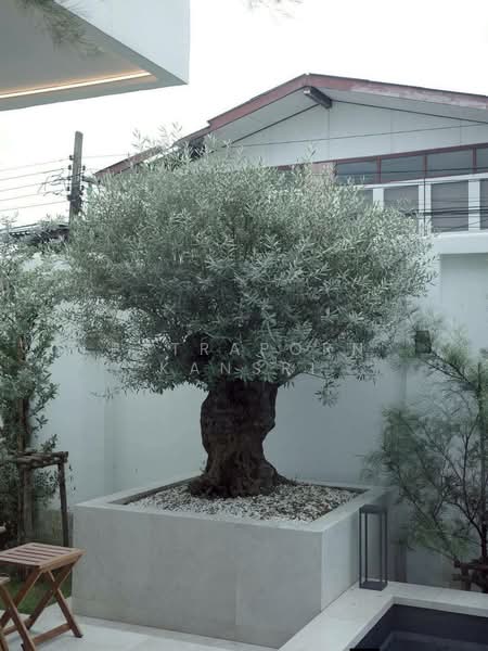 บ้าน 3-ห้องนอน, กรุงเทพ, วังทองหลาง, วังทองหลาง, กรุงเทพ, 440 ตร.ม., บ้านเดี่ยว ขาย, โดย Patraporn Kansri, 500147724 - DDproperty.com