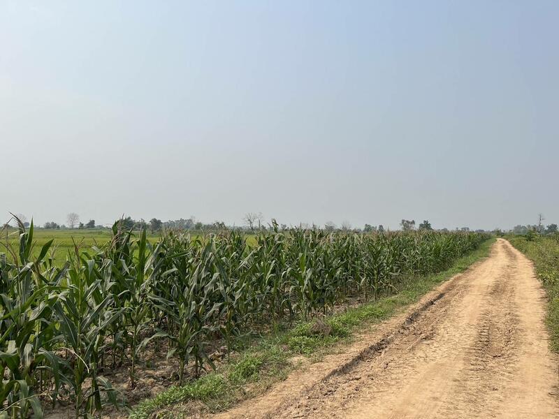 ที่ดินผืนใหญ่ 675 ไร่ ติดถนนใหญ่ อ.เชียงคำ จ.พะเยา, Phayao, -, Thung Pa Suk, Chiang Kham, Phayao, , 1,080,000 sqm, Land For Sale, by Mr. Chen, 500147796 - DDproperty.com