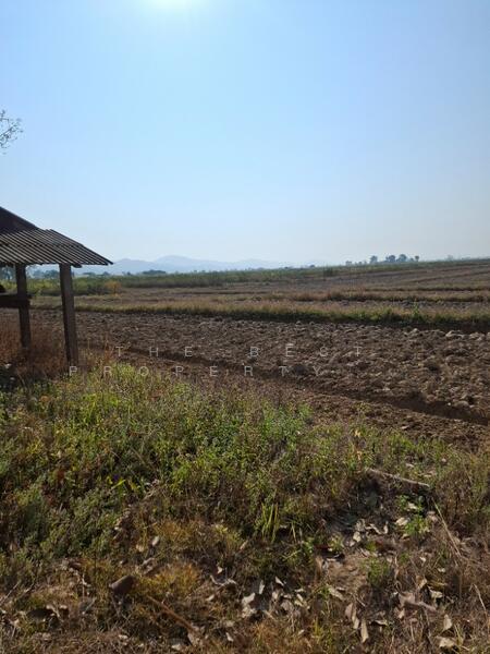 ที่ดินเทิง เชียงราย, เชียงราย, งิ้ว, เทิง, เชียงราย, 12,764 ตร.ม., ที่ดิน ขาย, โดย The Best Property ไนล์, 500147868 - DDproperty.com