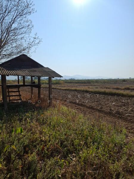 ที่ดินเทิง เชียงราย, Chiang Rai, Ngiu, Thoeng, Chiang Rai, , 12,764 sqm, Land For Sale, by The Best Property ไนล์, 500147868 - DDproperty.com