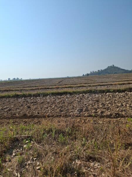 ที่ดินเทิง เชียงราย, เชียงราย, งิ้ว, เทิง, เชียงราย, 12,764 ตร.ม., ที่ดิน ขาย, โดย The Best Property ไนล์, 500147868 - DDproperty.com