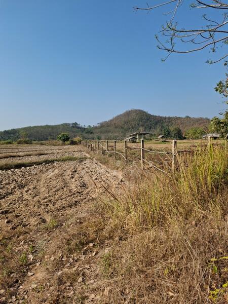 ที่ดินเทิง เชียงราย, เชียงราย, งิ้ว, เทิง, เชียงราย, 12,764 ตร.ม., ที่ดิน ขาย, โดย The Best Property ไนล์, 500147868 - DDproperty.com