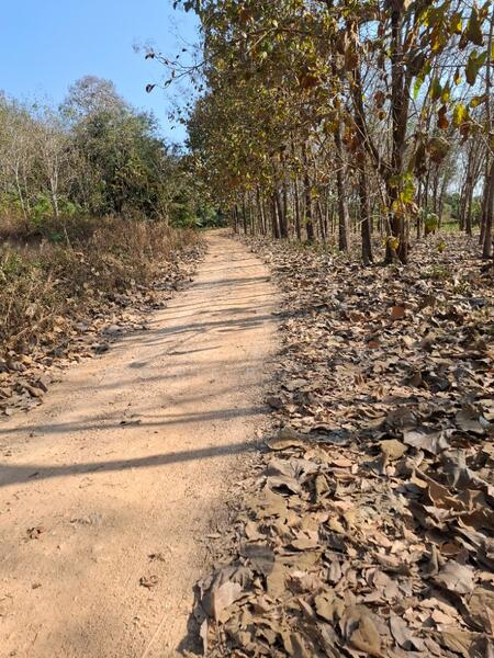 ที่ดินเทิง เชียงราย, Chiang Rai, Ngiu, Thoeng, Chiang Rai, , 12,764 sqm, Land For Sale, by The Best Property ไนล์, 500147868 - DDproperty.com