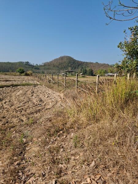 ที่ดินเทิง เชียงราย, Chiang Rai, Ngiu, Thoeng, Chiang Rai, , 12,764 sqm, Land For Sale, by The Best Property ไนล์, 500147868 - DDproperty.com