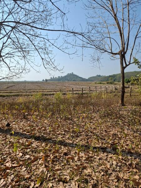 ที่ดินเทิง เชียงราย, Chiang Rai, Ngiu, Thoeng, Chiang Rai, , 12,764 sqm, Land For Sale, by The Best Property ไนล์, 500147868 - DDproperty.com