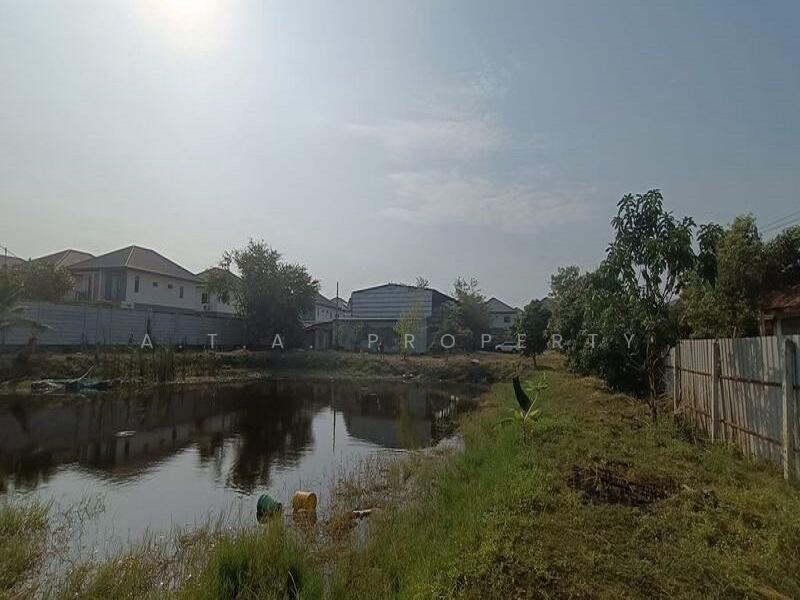 ขายที่ดินตะเคียนเตี้ย บางละมุง พัทยา, Chon Buri (Pattaya), Ta Khian Tia, Bang Lamung (Pattaya), Chon Buri (Pattaya), , 3,648 sqm, Land For Sale, by A.T.A. Property, 500147893 - DDproperty.com