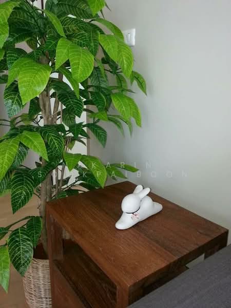 Noble Reveal : โนเบิล รีวีล, กรุงเทพ, 36 ซอยสุขุมวิท 63 ถนนเอกมัย, พระโขนงเหนือ, วัฒนา, กรุงเทพ, 90 ตร.ม., คอนโด ให้เช่า, โดย Nakarin  Sookpaiboon, 500147923 - DDproperty.com