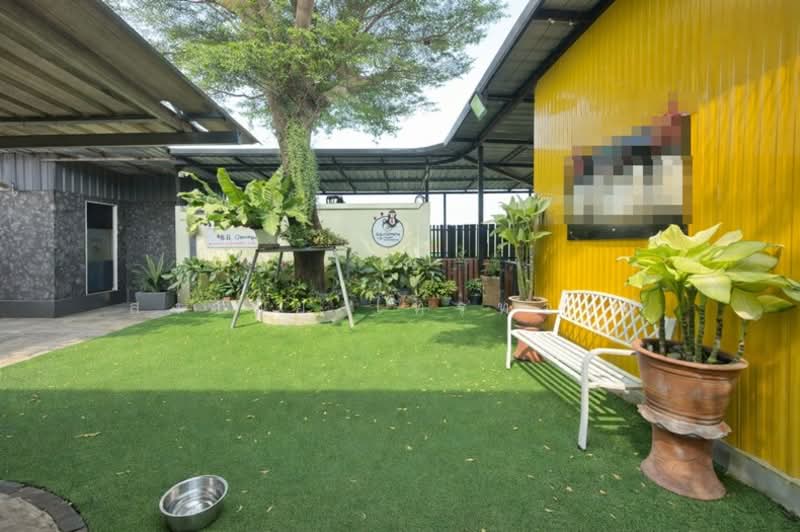 ซอยเยี่ยมรอดเงินทอง ถนนบ้านกล้วย - ไทรน้อย ตำบลไทรน้อย อำเภอไทรน้อย จังหวัด นนทบุรี 11150, นนทบุรี, บ้านกล้วย - ไทรน้อย, ไทรน้อย, ไทรน้อย, นนทบุรี, 152 ตร.ม., บ้านเดี่ยว ขาย, โดย สง่าชัย ไทรทองคำ, 500147930 - DDproperty.com