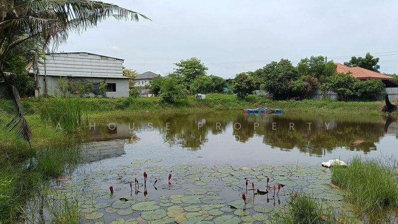 Land with existing buildings for sale in Takian Tia, Bang Lamung., Chon Buri (Pattaya), Ta Khian Tia, Bang Lamung (Pattaya), Chon Buri (Pattaya), , 3,648 sqm, Land For Sale, by A House Property Co.,Ltd., 500147950 - DDproperty.com