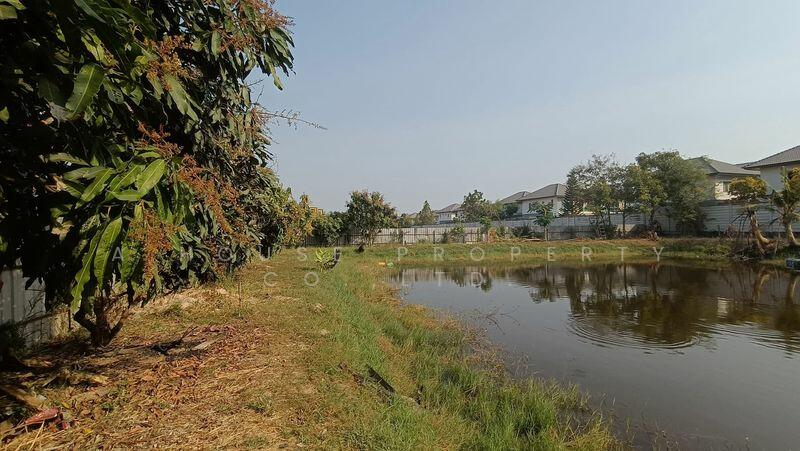 Land with existing buildings for sale in Takian Tia, Bang Lamung., Chon Buri (Pattaya), Ta Khian Tia, Bang Lamung (Pattaya), Chon Buri (Pattaya), , 3,648 sqm, Land For Sale, by A House Property Co.,Ltd., 500147950 - DDproperty.com