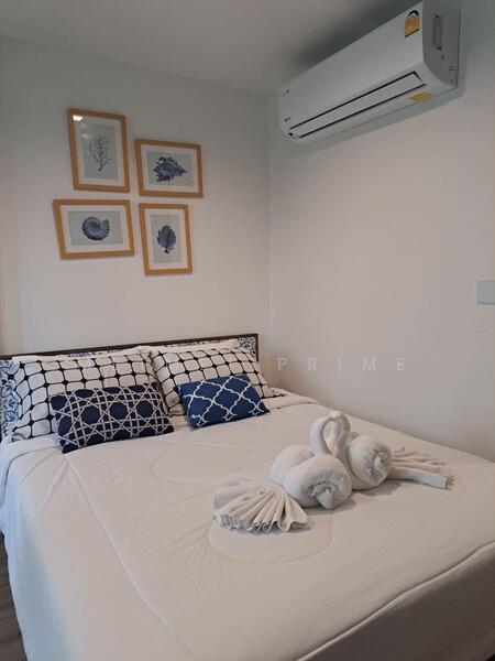 The Base Central, Phuket, Chao Fah Tawan Tok Rd, Wichit, Muang Phuket, Phuket, 1 Bedroom, 29 sqm, Condo For Rent, by MeiMei Prime, 500147966 - DDproperty.com
