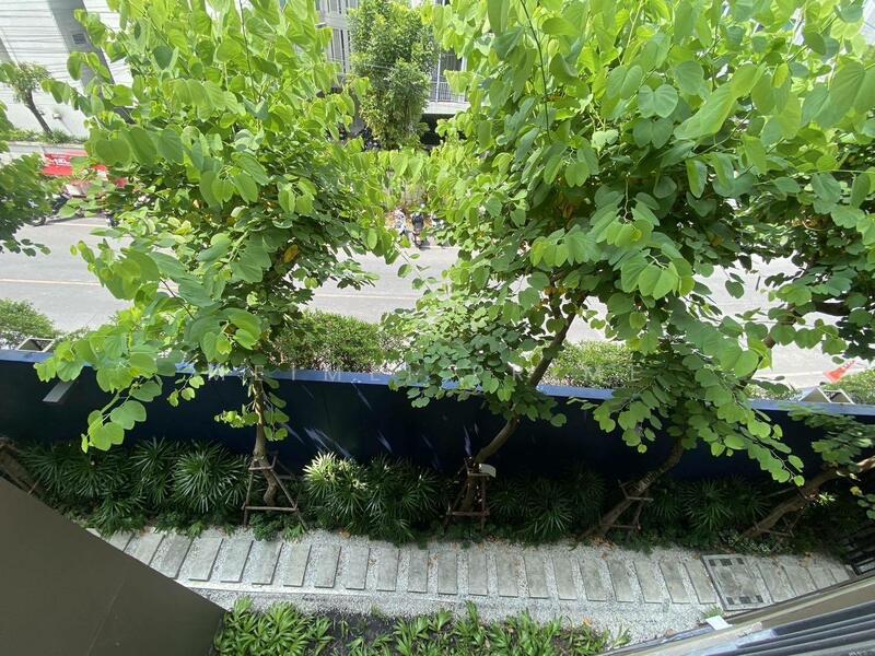 The Base Central, Phuket, Chao Fah Tawan Tok Rd, Wichit, Muang Phuket, Phuket, 1 Bedroom, 29 sqm, Condo For Rent, by MeiMei Prime, 500147966 - DDproperty.com