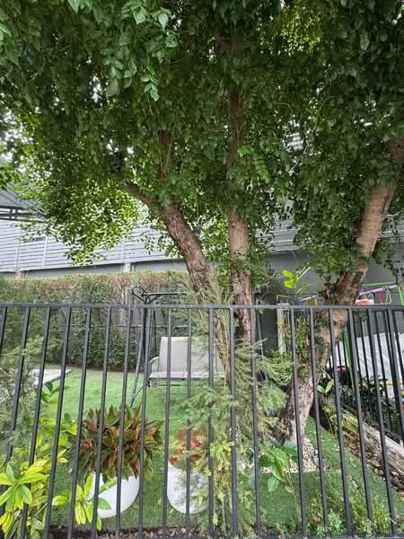 Setthasiri Krungthep Kreetha : เศรษฐสิริ กรุงเทพกรีฑา, กรุงเทพ, ถนนกรุงเทพกรีฑา, หัวหมาก, บางกะปิ, กรุงเทพ, 200 ตร.ม., บ้านเดี่ยว ขาย, โดย Vipada Supaporn, 500148027 - DDproperty.com