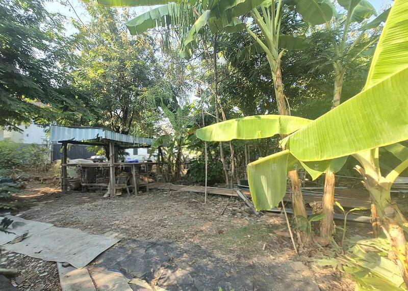 ที่ดิน พร้อมสิ่งปลูกสร้าง 100 ตารางวา ซอยพระแม่มหาการุณย์ 6/1, นนทบุรี, บ้านใหม่, ปากเกร็ด, นนทบุรี, 400 ตร.ม., ที่ดิน ขาย, โดย กรกฤตย์ บุญสระ, 500148078 - DDproperty.com