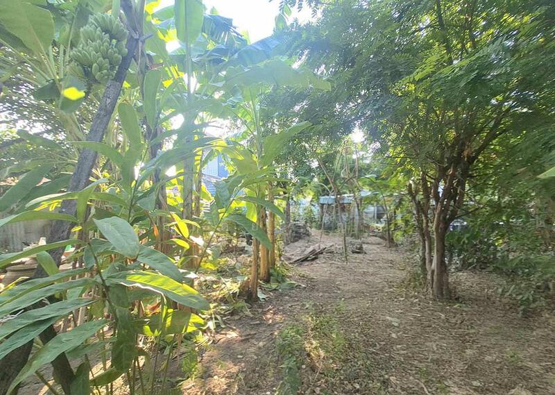 ที่ดิน พร้อมสิ่งปลูกสร้าง 100 ตารางวา ซอยพระแม่มหาการุณย์ 6/1, Nonthaburi, Ban Mai, Pak Kret, Nonthaburi, , 400 sqm, Land For Sale, by กรกฤตย์ บุญสระ, 500148078 - DDproperty.com