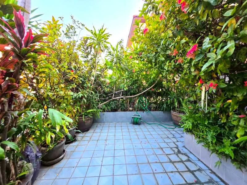 Sri Krung Village Rama 3 : บ้านศรีกรุง พระราม 3, กรุงเทพ, ช่องนนทรี, ยานนาวา, กรุงเทพ, 200 ตร.ม., ทาวน์เฮ้าส์ ขาย, โดย ลลิดา เผียงสูงเนิน, 500148093 - DDproperty.com