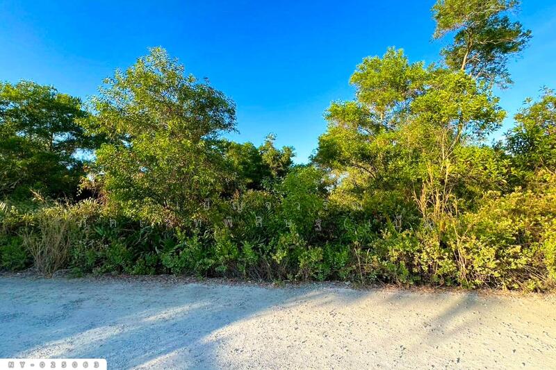 NY-025063 Land for sale in Laem Sing District, Chanthaburi, 15 rai 112 sq.w., Chanthaburi, Khlong Nam Khem, Laem Sing, Chanthaburi, , 24,448 sqm, Land For Sale, by Benchawarin Pakkawetppisit, 500148130 - DDproperty.com