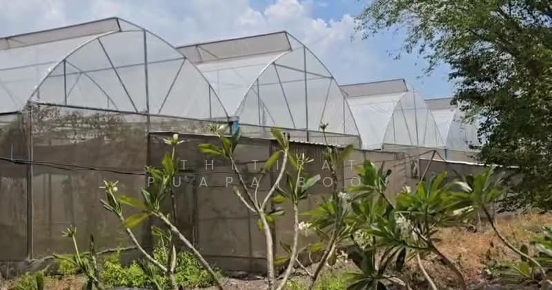 ขาย - ขายกิจการ ฟาร์มกัญชาครบวงจร พร้อมใบอนุญาต จ.สระบุรี, สระบุรี