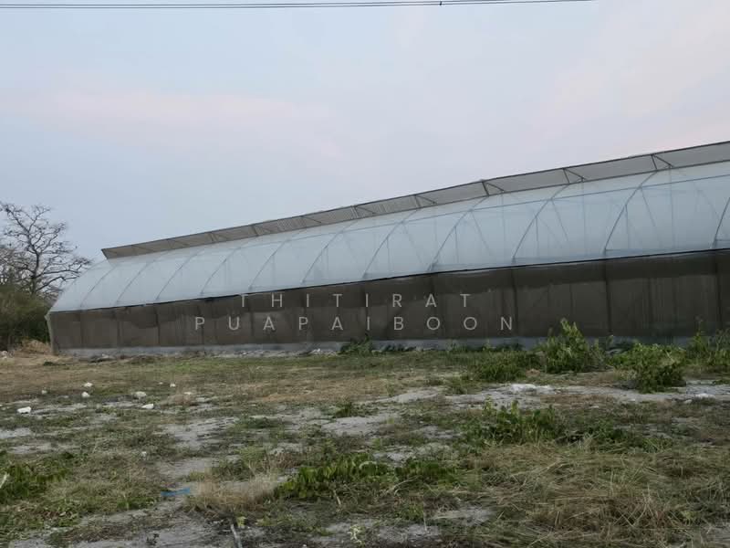 ขาย - ขายกิจการ ฟาร์มกัญชาครบวงจร พร้อมใบอนุญาต จ.สระบุรี, สระบุรี