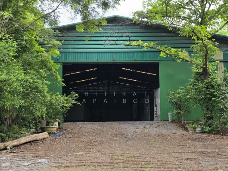 Cannabis Farm Business for Sale with Licenses - Saraburi Province, Saraburi, Na Yao, Phra Phutthabat, Saraburi, , 2,800 sqm, Business For Sale, by Thitirat Puapaiboon, 500148220 - DDproperty.com