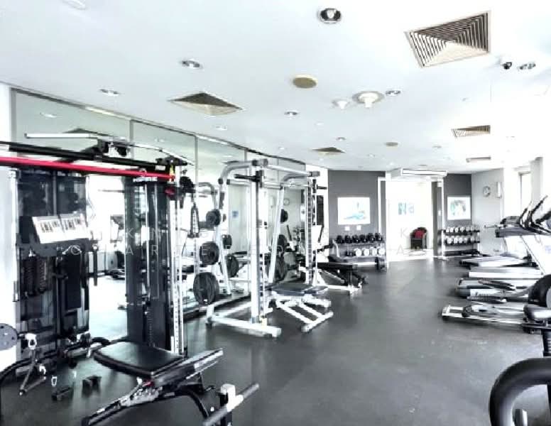 All Seasons Mansion, Bangkok, Soi Ruamrudee, Wireless Road, Lumphini, Pathum Wan, Bangkok, 2 Bedrooms, 137 sqm, Condo For Rent, by Knight Frank Chartered (Thailand) Co.,Ltd, 500148276 - DDproperty.com