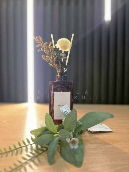 Lumpini Ville Ratburana–Riverview 2 : ลุมพินี วิลล์ ราษฎร์บูรณะ–ริเวอร์วิว 2, กรุงเทพ, ซอยราษฎร์บูรณะ 11, บางปะกอก, ราษฎร์บูรณะ, กรุงเทพ, 23 ตร.ม., คอนโด ให้เช่า, โดย Pimlada Lertritrungmanee, 500148325 - DDproperty.com