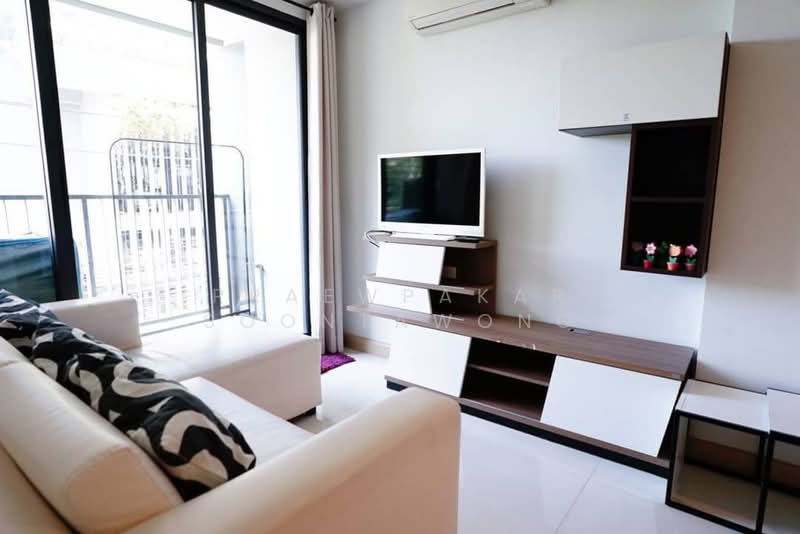 The President Sukhumvit 81 : เดอะ เพรสซิเดนท์ สุขุมวิท 81, กรุงเทพ, ซอยสุขุมวิท 81 ถนนสุขุมวิท, พระโขนงเหนือ, วัฒนา, กรุงเทพ, 35 ตร.ม., คอนโด ให้เช่า, โดย Praewpakar Soontawong, 500148343 - DDproperty.com