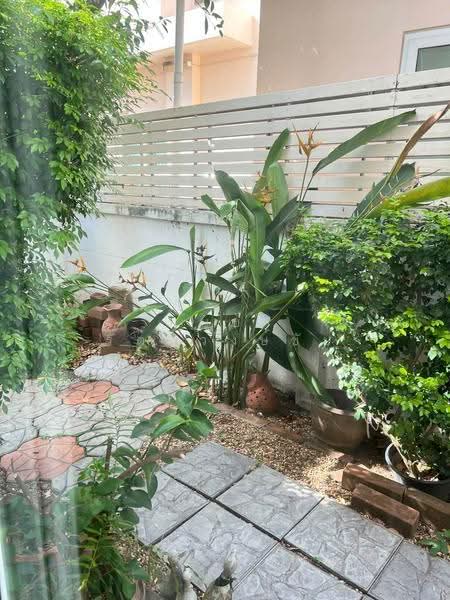 Perfect Place Sukhumvit 77-Suvarnabhumi, Samut Prakan, Lat Krabang Road, Rachathewa, Bang Plee, Samut Prakan, 3 Bedrooms, 200 sqm, Single Detached House For Rent, by บุษบา รัตนวงษ์ชัย, 500148507 - DDproperty.com