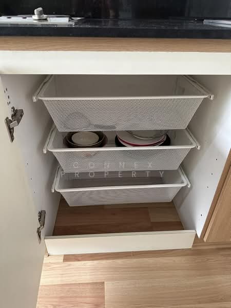 IDEO Blucove Sukhumvit : ไอดีโอ บลูโคฟ สุขุมวิท, กรุงเทพ, 2952 ถนนสุขุมวิท, บางนา, บางนา, กรุงเทพ, 26 ตร.ม., คอนโด ให้เช่า, โดย Connex Property, 500148702 - DDproperty.com