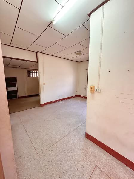 ขาย - แม่ฟ้าหลวง, เชียงราย