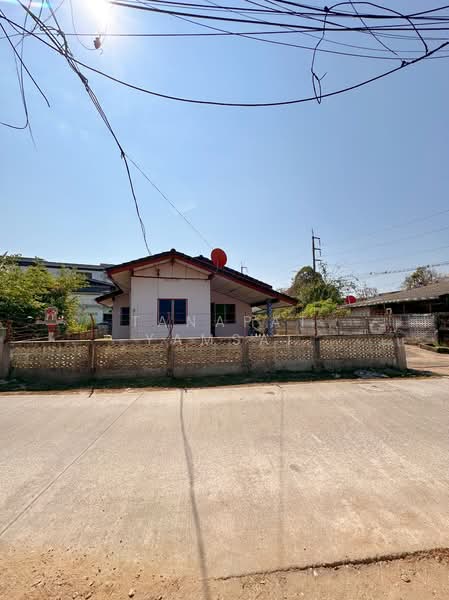 ขาย - แม่ฟ้าหลวง, เชียงราย