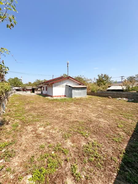 ขาย - แม่ฟ้าหลวง, เชียงราย