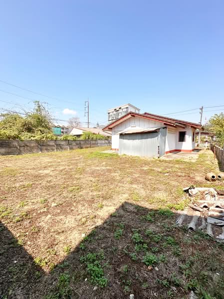 แม่ฟ้าหลวง, Chiang Rai, พหลโยธิน, Nang Lae, Muang Chiang Rai, Chiang Rai, 2 Bedrooms, 180 sqm, Single Detached House For Sale, by Tanapat Yamsai, 500148772 - DDproperty.com