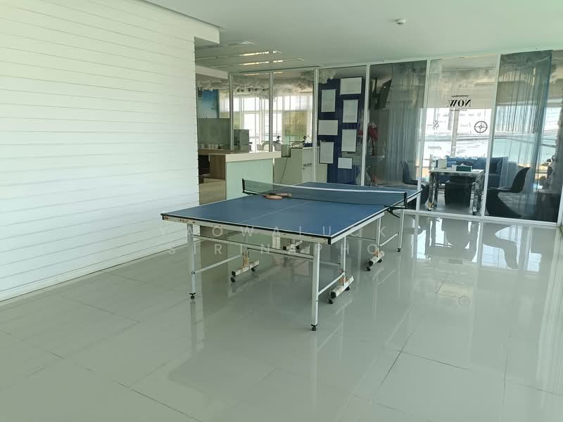 ขาย - Musselana : มัสเซลลาน่า, ชลบุรี